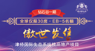 美国钻石谷项目